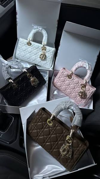 Lady Dior Mini – Collection 4 Coloris (Blanc, Noir, Rose, Taupe)
